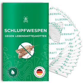 SILBERKRAFT Schlupfwespen
