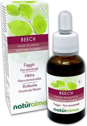 Naturalma Rotbuche Beech Tropfen