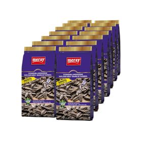 MERAY Dakota Sonnenblumenkerne Geröstet & Extra Gesalzen