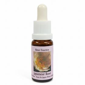 PHI Essences - Japanische Rosen-Essenz