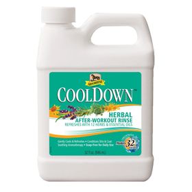 Absorbine Cool Down Waschlotion