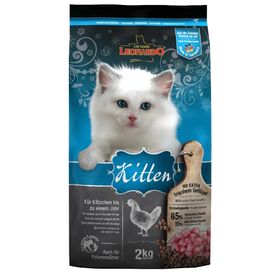 Leonardo Kitten