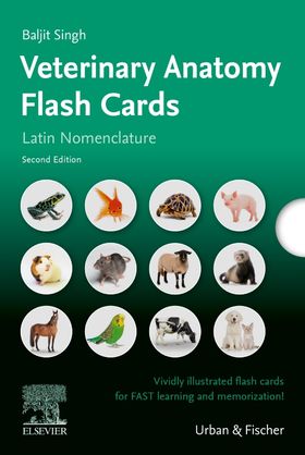 Lernkarten Veterinäranatomie / Veterinary Anatomy Flash Cards nach Nomina Anatomica Veterinaria /...