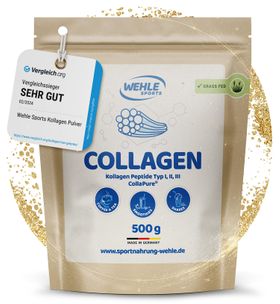 Wehle Sports Kollagen Pulver 500 g - Kollagenhydrolysat Peptide Typ I, II & III - Testsieger