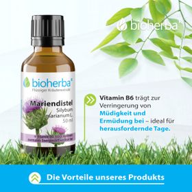 Mariendistel Silybum marianum L. Tropfen Tinktur 50 ml PZN 17187675