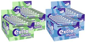 Extra Mints Mix Lutschpastillen Spearmint & Strong Mint