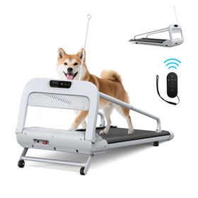 Hundelaufband, Geschwindigkeitsverstellbar, ideal für kleine bis mittelgroße Hunde