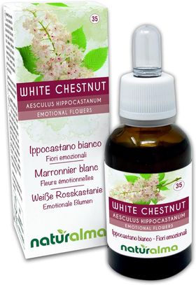 Naturalma Weiße Rosskastanie Aesculus hippocastanum Tropfen