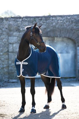 Horseware Amigo Net Cooler Fliegendecke