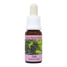 PHI Essences - Oak Bachblüte Nr. 22