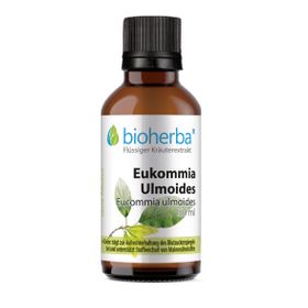 Eukommia Ulmoides Tropfen Tinktur 50 ml PZN 18217800