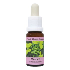 PHI Essences - Mustard Bachblüte Nr. 21
