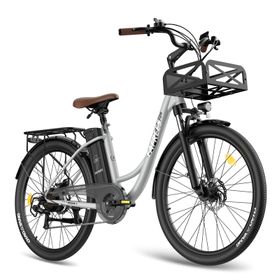 Fafrees F26 Lasting Elektrofahrrad mit 36V 20,3Ah Akku