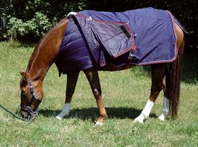 Two in one  Treadstone