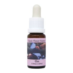PHI Essences - Elm Bachblüte Nr. 11