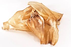 123... Hund dabei! - Büffel-Ohren