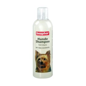 Beaphar - Hunde Shampoo Fell-Glanz