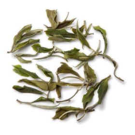 tea exclusive - White Magic Weißer Tee Indien