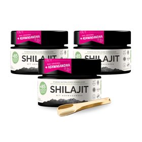 VitalizeNature Shilajit mit Ashwagandha