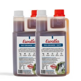 EWALIA Rio Grande Saft für Hunde Doppelpack