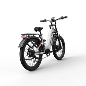 PULUMA PE97 Pro Elektrofahrrad mit 48V 20Ah Akku