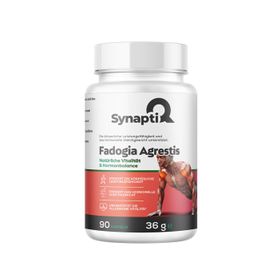 SynaptiQ® - Fadogia Agrestis