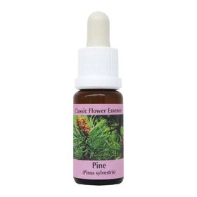 PHI Essences - Pine Bachblüte Nr. 24