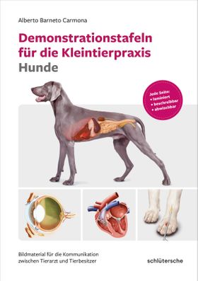 Demonstrationstafeln für die Kleintierpraxis Hunde Bildmaterial für die Kommunikation zwischen Ti...