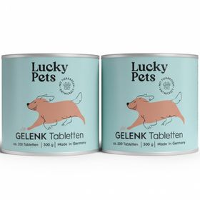 Gelenktabletten für Hunde – mit Grünlippmuschel, Teufelskralle, MSM und Glucosamin