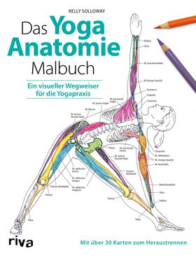 Das Yoga-Anatomie-Malbuch Ein visueller Wegweiser für die Yogapraxis. Mit über 30 Karten zum Hera...