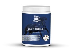 Derby Zusatzfutter Elektrolyt