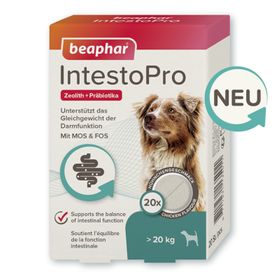 Beaphar IntestoPro Tabs für große Hunde