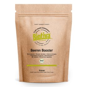 Beeren Booster Mischung Pulver Bio