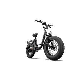 URLIFE E20 Pro E-Bike mit 48V 15,6Ah Akku, LCD-Display und Gepäckträger
