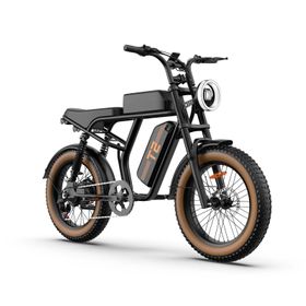URLIFE T2 Offroad-Elektrofahrrad, 250-W-Motor, 48-V-15,6-Ah-Akku