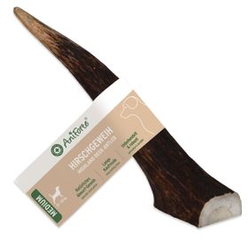 AniForte Hochland Hirschgeweih Medium