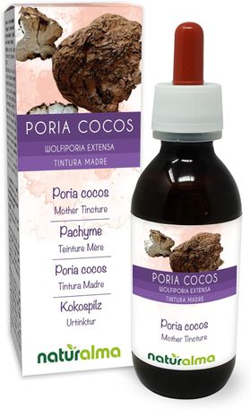 Naturalma Kokospilz  Wolfiporia extensa Flüssig Extrakt