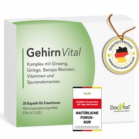 DocVital Gehirn Vital Komplex Kapseln Kapsel