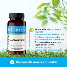 Bioherba Nattokinase Kapseln