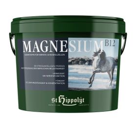 St. Hippolyt Magnesium B12 für Pferde