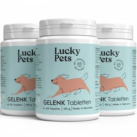 Gelenktabletten für Hunde – mit Grünlippmuschel, Teufelskralle, MSM und Glucosamin