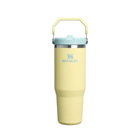 IceFlow™ Flip Straw Tumbler 2.0