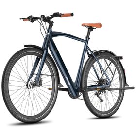 Fafrees F700M Elektrofahrrad mit 36V 10Ah Akku