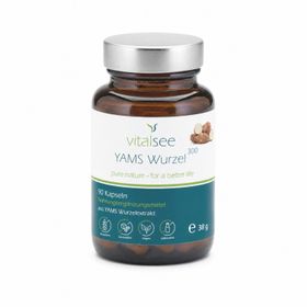Vitalsee YAMS Wurzel 300 Extrakt