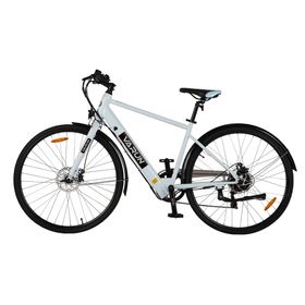 VARUN C700-7 Elektrofahrrad mit 36V 10Ah Akku