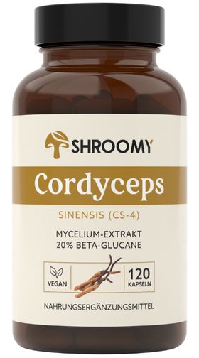 SHROOMY Cordyceps Kapseln