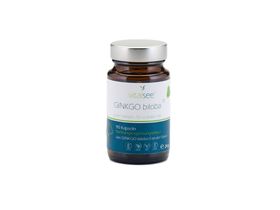 GINKGO biloba 70 Extrakt
