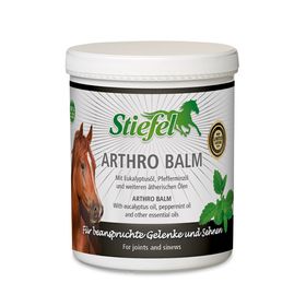 Stiefel Arthro Balm