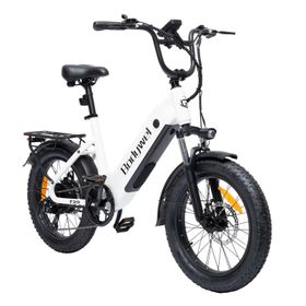 Bodywel F20 Elektrofahrrad mit 48V 13,5Ah Akku
