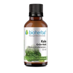 Kale Grün-Kohl Brassica oleracea L. 50 ml Tropfen Tinktur PZN 18217846